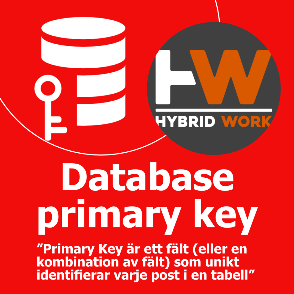 Database primary key Karusell_1