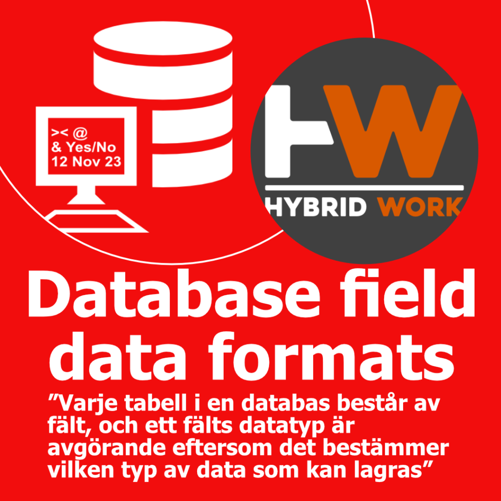 Database field data formats Karusell_1